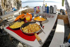 Canada-British Columbia-Orca Camp - Johnstone Strait